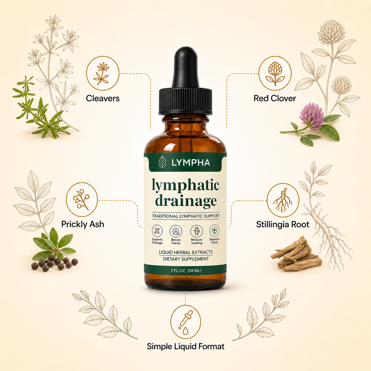 Lymphatic Drainage Wellness Drops